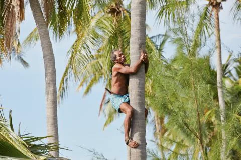 Coconut man Stock-Fotos