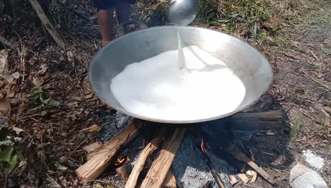 Coconut milk Stock Footage 242502318