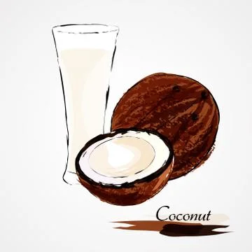 Coconut milk Stock Illustration