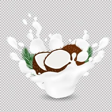 Coconut in a milk splash on a transparent background. Vector. Stock Illustration