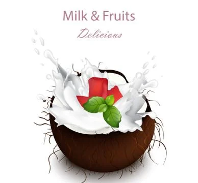 Coconut milk splash Vector. Delicious natural drink Ilustración de archivo
