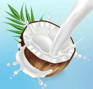Coconut in milk splash Vector realistic. template tropic exotic background. F Stock Illustration