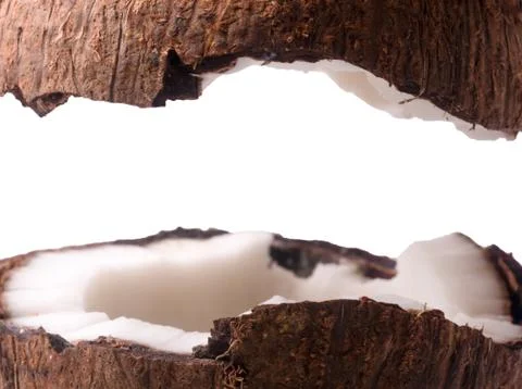 Coconut mock up Stock Photos