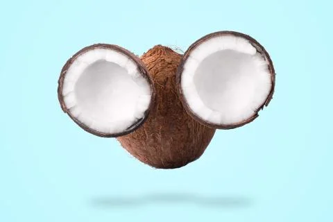 Coconut muzzle Stock Photos
