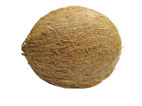 Coconut nut isolated Stock Photos