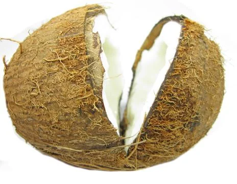 Coconut nut isolated Foto stock
