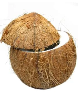 Coconut nut isolated Foto stock