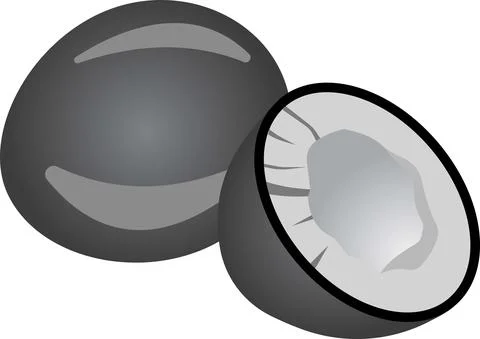 Coconut nut. Vector illustration isolated on white background. Stock Illustration