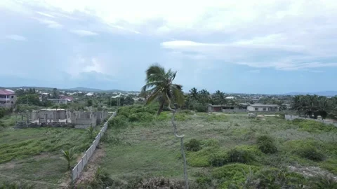 COCONUT TO OCEAN VIEW Stock Footage 156720532
