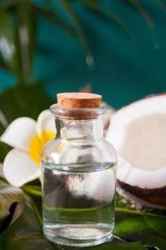 Coconut oil in a bottle with coconuts, flower Plumeria frangipani and green p Stock Photos