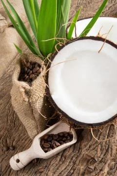 Coconut opened Stock-Fotos