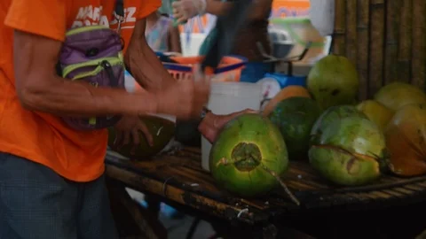 COCONUT Opening 库存影片 92284081