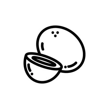 Coconut outlined icon. Vector fruit logo isolated on white background. Vegeta Stock Illustration