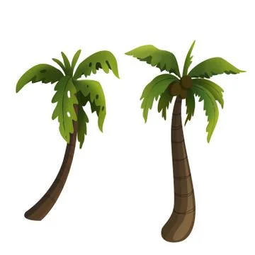 Coconut palm Stock Illustration