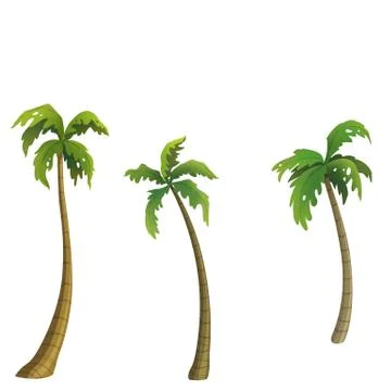 Coconut palm Stock Illustration