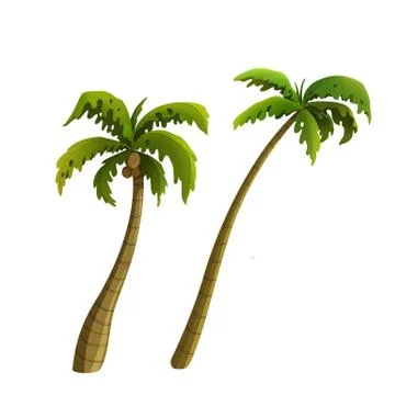 Coconut palm Stock Illustration