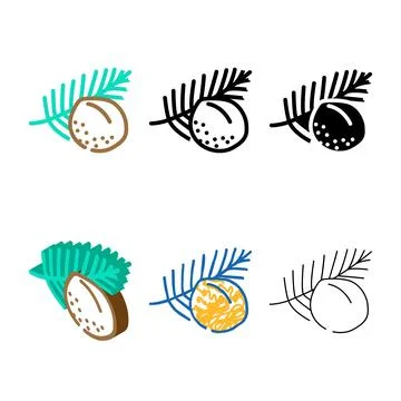 Coconut palm leaf color icon vector diversity イラスト素材