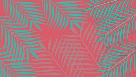 Coconut palm leaves, border, frame, background. Copy space. Pink background. Stock Footage 137528015