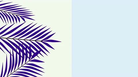 Coconut palm leaves, border, frame, background. Copy space. Light blue and gray Stock Footage 137528719