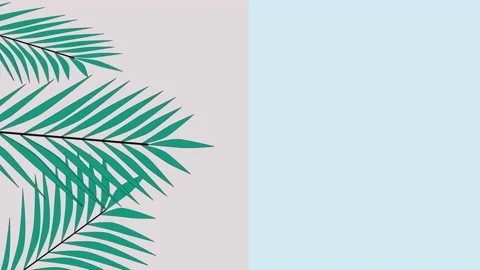 Coconut palm leaves, border, frame, background. Copy space. Light blue and pink Stock Footage 137528982