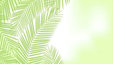 Coconut palm leaves frame moving by the wind looping and copy space animation Stock Footage 91758448