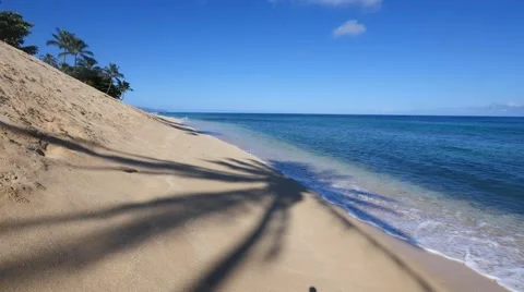 Coconut palm shadow, sunset beach, north shore, oahu, hawaii. Stock Footage 41440073