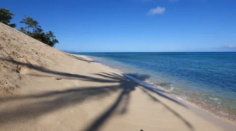 Coconut palm shadow, sunset beach, north shore, oahu, hawaii. Stock Footage 41440096