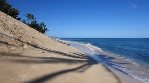 Coconut palm shadow, sunset beach, north shore, oahu, hawaii. Stock Footage 41440123