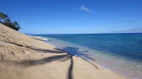 Coconut palm shadow, sunset beach, north shore, oahu, hawaii. Stock Footage 41440153