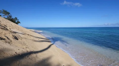 Coconut palm shadow, sunset beach, north shore, oahu, hawaii. Stock Footage 41440268