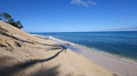 Coconut palm shadow, sunset beach, north shore, oahu, hawaii. Stock Footage 41440314