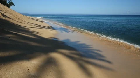 Coconut palm shadow, sunset beach, north shore, oahu, hawaii. Stock Footage 41440488