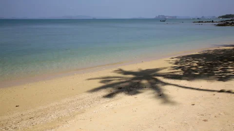 Coconut palm shadow on white sand seascape 스톡 동영상 62259340