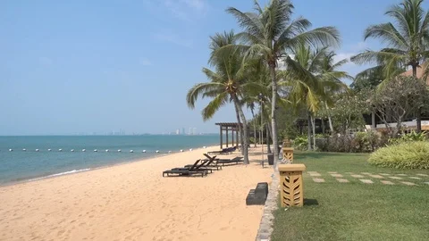 Coconut palm tree with beautiful beach background.Summer holiday concept Video stock 103674464