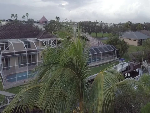 Coconut Palm Tree from Drone Stock Footage 80659193