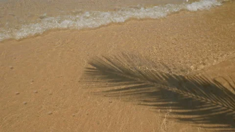Coconut palm tree leaf shadow stretch out over the sandy beach Stock Footage 133338105