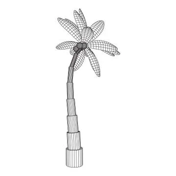 Coconut palm tree with leaves. Stock Illustration