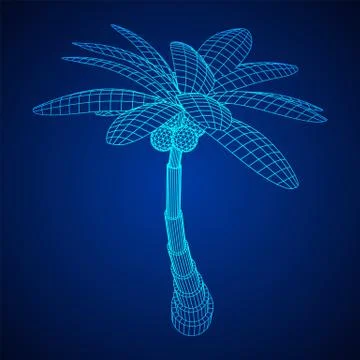 Coconut palm tree with leaves. Stock Illustration