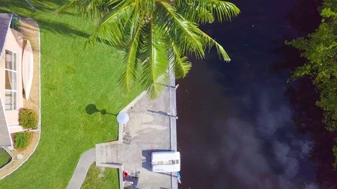 Coconut Palm Tree Overhead Stock Footage 91461559