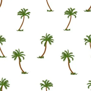 Coconut palm tree seamless pattern vector illustrations on white background Stock Illustration
