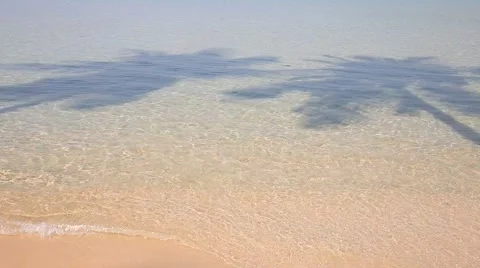 Coconut palm tree shadow on the tropical beach in island Koh Phangan , Thailand Stock Footage 53187445