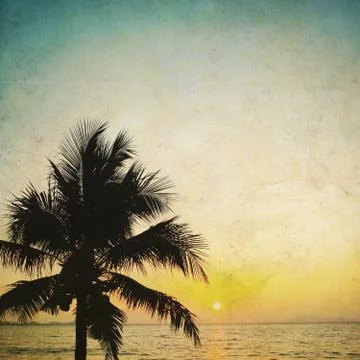 Coconut palm tree silhouetted and sunrise .in vintage background 库存插图