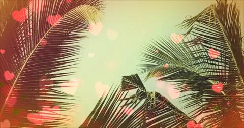 Coconut palm tree under blue sky. Vintage background with bokeh and flares. Stock Photos