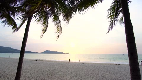 Coconut palm trees and beach sea sunset. Green palm tree on sunset sky backgroun Stockbeeldmateriaal 149505649