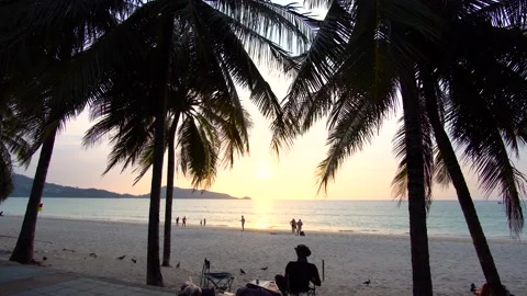Coconut palm trees and beach sea sunset. Green palm tree on sunset sky backgroun Видео 149505801