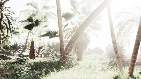 Coconut palm trees and shining sun over bright sky Ilustración de archivo