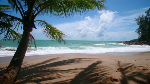 Coconut palm trees and tropical sea Summer vacation and tropical beach concep Stock Footage 158138352