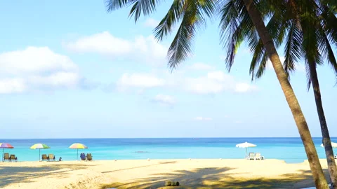 Coconut palm trees beach umbrellas island sunny. Stock Footage 208646523