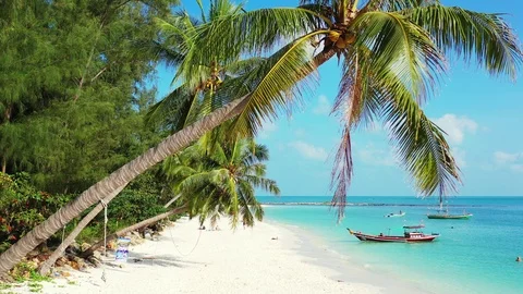 Coconut palm trees leaning over the sandy beach. Turquoise sea with boats Stock Footage 125413757