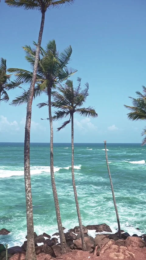 Coconut palm trees swaying over turquoise waves on rocky coast, Sri Lanka Stock Footage 345293505